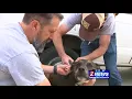 Nevada Humane Society Adventure Pet