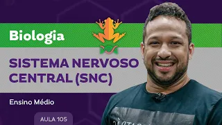Sistema nervoso central (SNC)​ - Biologia - Ensino Médio