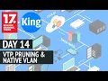 200-301 CCNA v3 0 Day 14 VTP Pruning Native VLAN Free Cisco CCNA
