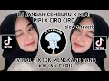 Download Lagu DJ JANGAN CEMBURU X MIMI PIPI X CIRO CIRO] slow+ reverb VIRAL TIKTOK YANG KALIAN CARI!!