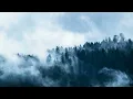 novo amor - colourway (slowed + reverb)