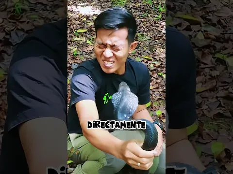 🐍 ¡Esta Serpiente Puede Dejarte Ciego!#shorts