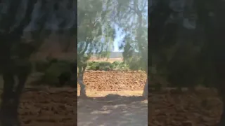 نهاركم مبروك و سعيد دعاء الرزق اللهم ارزقني مالا أغني به نفسي و أعز به ديني 