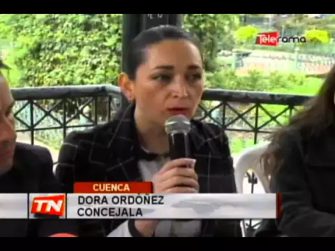 Concejales solicitan suspender proyectos mineros