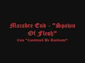 Macabre End-Spawn Of Flesh