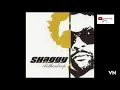 Download Lagu Shaggy - Love Me Up.