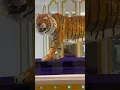 Download Lagu Golden tiger