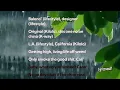 Bb Lifestyle by Mavo, Sssound Gawd | lyrics video  #music