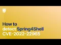 Detect the persistent Spring4Shell CVE-2022-22965