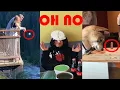 Download Lagu NEW! oh no oh no oh no no no song - TIKTOK