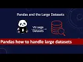 How to process large dataset with pandas Avoid out of memory issues while loading data into pandas