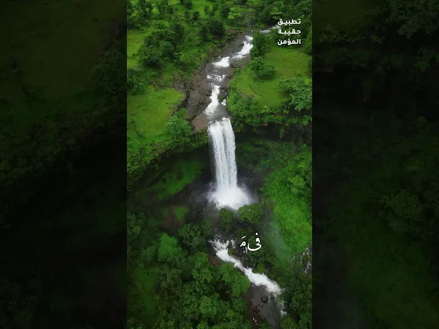 ⁣دعاء الصباح 