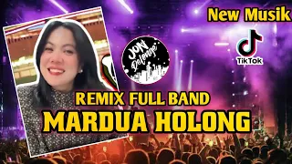dj mardua holong ii dj remix full band