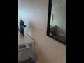 Portland Apartment Finder-The Anita Apartment Portland Oregon