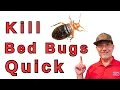 Most Effective Bed Bug Treatment Nobody Talks About