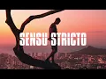 Francis Mercier & Magic System  - Premier Gaou (Nitefreak Remix)