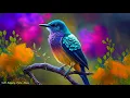 Download Lagu Nhạc Thư Giãn Với Tiếng Chim hót | Nhạc Xả Stress | Ngừng lo lắng và trầm cảm #30