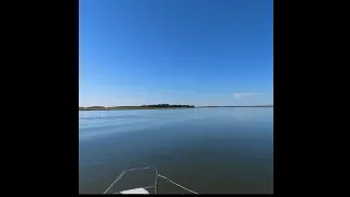 Sailing with 30 dolphins by Kiawah and Seabrook Island with friends!  October 18, 2025