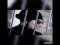 Download Lagu nesto velasquez personality