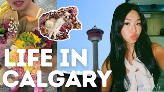 life in calgary realistic days in my hometown driving range tattoo day MORE letitia s 2026