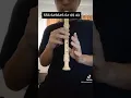Lagu APA KABAR MANTAN - NDX AKA | TUTORIAL RECORDER TIKTOK VIRAL