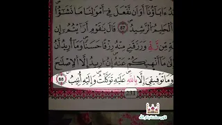 وما توفيقي الا بالله عليه توكلت واليه أنيب دندنها