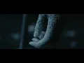 Ivy Lab - Everythingmustchange