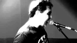 Courtesan - The Locust King