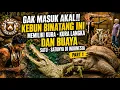 IT S INSANE THIS ZOO HAS A RARE TORTOISE AND THE ONLY CROCODILE OF ITS KIND IN INDONESIA