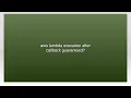 aws lambda execution after callback guaranteed