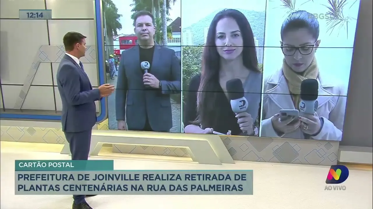 Prefeitura de Joinville realiza retirada de plantas centenárias na Rua das Palmeiras