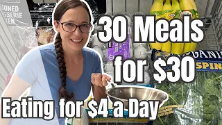 30 Costco Haul for 7 Days of Meals Emergency Grocery Budget Single Person Meal Plan