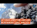 Download Lagu Erupsi Gunung Lewotobi Laki-laki Muntahkan Lapili, Apa Itu?