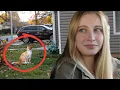 I Hunted Missing Cats for Money on Craigslist