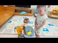 Download Lagu So funny | Pupu helped Nguyen get the potty to pee like a real professional.