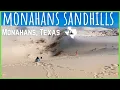 Monahans Sandhills Texas State Parks