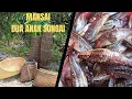 Download Lagu MANSAI Bersama2 penduduk kampong di dua anak Sungai.
