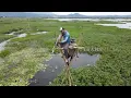 Download Lagu Berburu Ikan Di Rawa Pening Dengan Teknik Paser | MANCING MANIA STRIKE BACK (19/04/25) Part 1