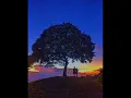 Download Lagu lagu Tetun terbaru 2024 Lena cover Li KolLo //°Abito Gama