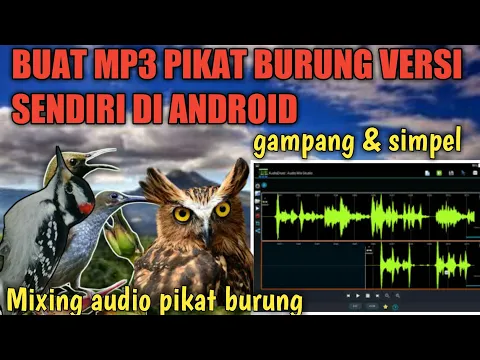 Download MP3 CARA BUAT MP3 PIKAT BURUNG VERSI SENDIRI || SUARA PIKAT BURUNG PALING AMPUH
