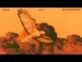Download Lagu Kosheen, Marten Lou, Isidoros - Hide U [Official Lyric Video]