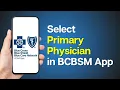 How to Select Primary Physician on BCBSM Mobile App