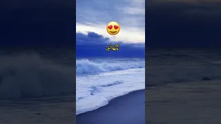 Beautiful Quran Recitation Qari Mahmood Shahat Quran Tilawat Quran Shortvideo Shortsfeed 