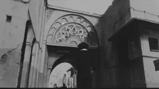 Mala Win مالا وين 