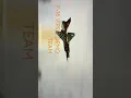 Download Lagu Viper demo