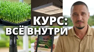 Что входит в курс Микрозелень дома