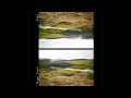 Maggie Rogers - Alaska