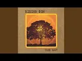 Download Lagu Take Root