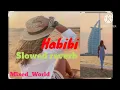 Download Lagu Habibi | Habibi Slowed reverb| dubai songs| habibi song