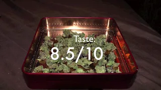 Ascend Blueberry Headband 7 grams popcorn Review ILLINOIS LEGAL FLOWER